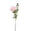 Picture of 62cm GARDEN ROSE SPRAY PEACH/PINK