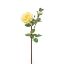 Picture of 62cm GARDEN ROSE SPRAY LEMON