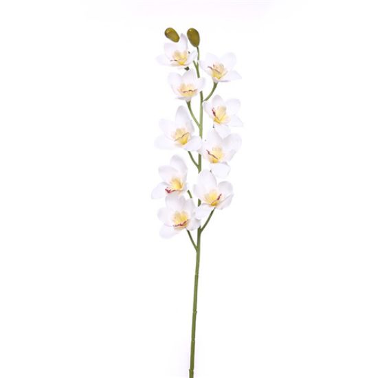 Picture of 90cm CYMBIDIUM ORCHID SPRAY IVORY