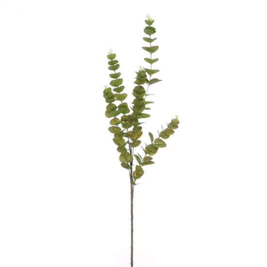 Picture of 96cm EUCALYPTUS SPRAY GREEN