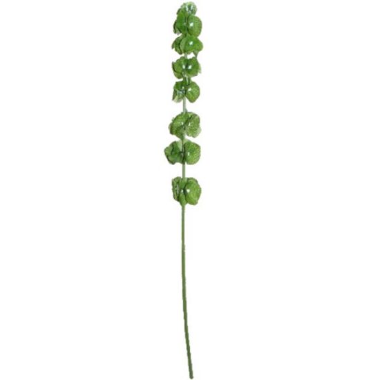 Picture of 74cm BELLS OF IRELAND GREEN