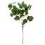 Picture of 85cm EUCALYPTUS SPRAY GREEN