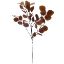 Picture of 85cm EUCALYPTUS SPRAY BROWN