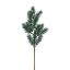 Picture of 45cm PLASTIC PINE SPRAY GREEN