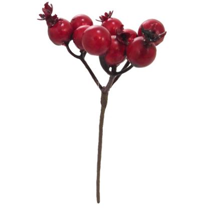 Picture of 16cm BERRY PICK RED