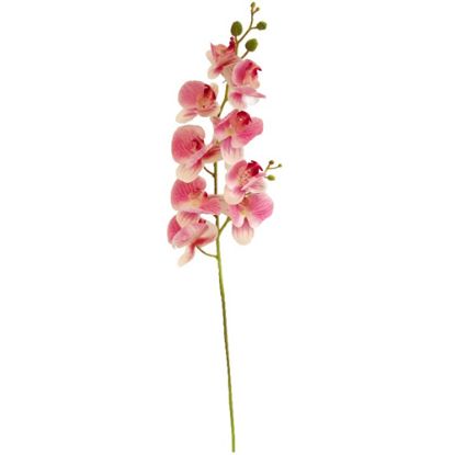 Picture of 100cm LUXURY PHALAENOPSIS ORCHID SPRAY DARK PINK/WHITE