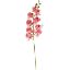 Picture of 100cm LUXURY PHALAENOPSIS ORCHID SPRAY DARK PINK/WHITE
