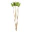 Picture of 7cm WOODEN/FELT BUTTERFLY ON 50cm STICK LIME GREEN X 6pcs