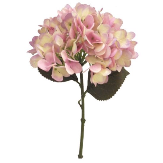 Picture of 34cm SINGLE SHORT STEM LARGE HYDRANGEA CREAM/LAVENDER