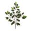 Picture of 66cm DELUXE FICUS BRANCH (42 LEAVES) VARIEGATED X 12pcs