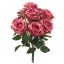 Picture of 41cm OPEN ROSE BUSH (12 HEADS) WITH GYP DARK PINK