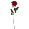 Picture of 45cm SINGLE ROSE RED