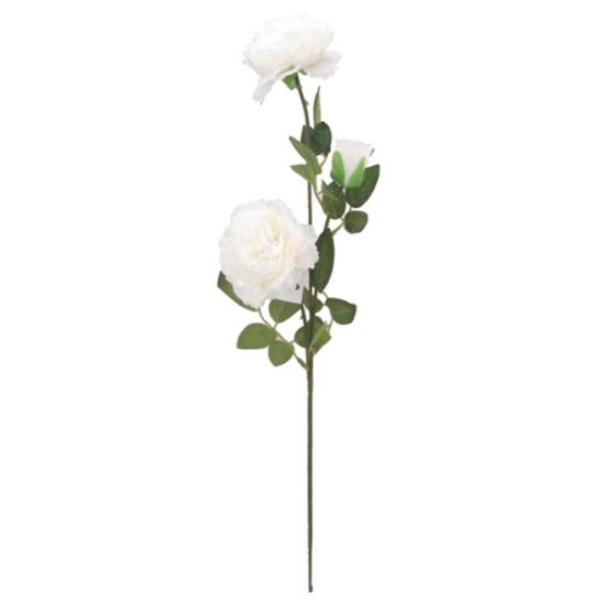 Picture of 66cm LARGE RANUNCULUS SPRAY IVORY