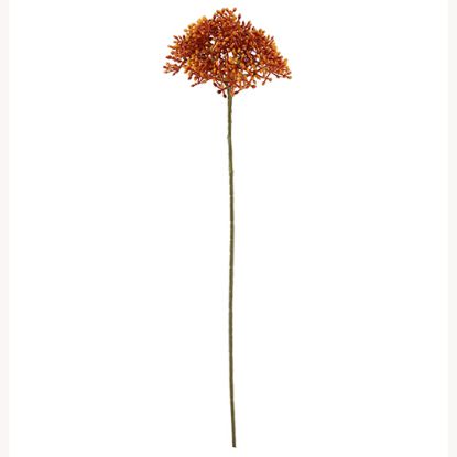 Picture of 54cm ELDERBERRY SPRAY DRY COLOUR ORANGE