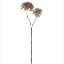Picture of 70cm PLASTIC CROWN FLOWER SPRAY DRY COLOUR MAUVE