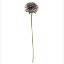 Picture of 53cm SINGLE GERBERA DRY COLOUR LILAC/PURPLE