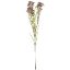 Picture of 79cm WAXFLOWER SPRAY DRY COLOUR MAUVE