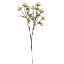 Picture of 68cm ERYNGIUM (SEA HOLLY) SPRAY DRY COLOUR CREAM