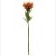 Picture of 73cm PROTEA DRY COLOUR ORANGE
