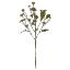 Picture of 72cm SWEET DAISY SPRAY DRY COLOUR LILAC/PURPLE