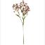 Picture of 72cm DAPHNE SPRAY DRY COLOUR MAUVE