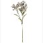 Picture of 72cm DAPHNE SPRAY DRY COLOUR LILAC/PURPLE