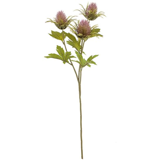 Picture of 67cm TEASEL SPRAY DRY COLOUR MAUVE