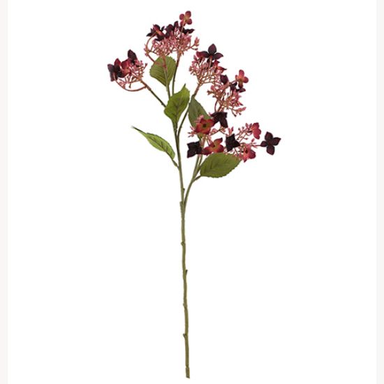 Picture of 62cm WILD HYDRANGEA SPRAY DRY COLOUR BURGUNDY