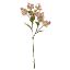 Picture of 62cm WILD HYDRANGEA SPRAY DRY COLOUR PINK