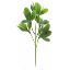Picture of 32cm PLASTIC LEAF SPRAY GREEN X BUNDLE OF 12pcs