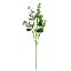 Picture of 38cm PLASTIC EUCALYPTUS SPRAY GREEN X BUNDLE OF 12pcs