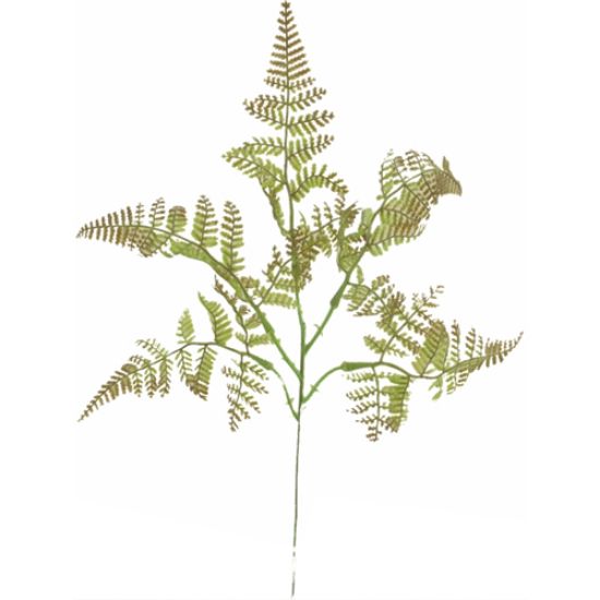 Picture of 40cm FERN LEAF SPRAY GREEN/BROWN X BUNDLE OF 12pcs