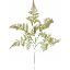 Picture of 40cm FERN LEAF SPRAY GREEN/BROWN X BUNDLE OF 12pcs