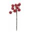 Picture of 16cm PLASTIC BERRY PICK RED (9 BERRIES PER PICK)