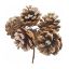 Picture of 14cm FROSTED NATURAL CONE PICK X 6pcs