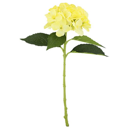 Picture of 51cm CHLOE SINGLE LARGE HYDRANGEA LEMON