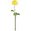 Picture of 51cm CHLOE SINGLE RANUNCULUS LEMON