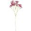 Picture of 70cm CHLOE GYPSOPHILA SPRAY BEAUTY