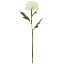 Picture of 77cm CHLOE LARGE BLOOMING PEONY IVORY