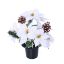 Picture of POINSETTIA SNOWY CONE AND HOLLY CEMETERY POT WHITE