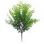 Picture of 43cm FERN BUSH GREEN
