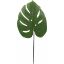 Picture of 55cm MONSTERA LEAF MID GREEN