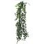 Picture of 82cm PLASTIC FOLIAGE TRAIL GREEN