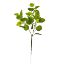 Picture of 80cm EUCALYPTUS SPRAY GREEN