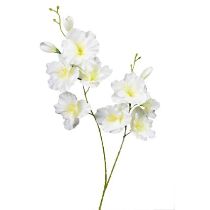 Picture of 51cm GLADIOLUS SPRAY IVORY