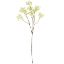 Picture of 70cm GYP SPRAY DRY COLOUR CREAM