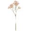 Picture of 70cm GYP SPRAY DRY COLOUR PINK