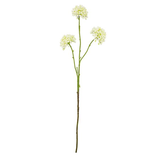 Picture of 60cm SOFT TOUCH SINGLE ALLIUM SPRAY WHITE