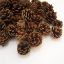Picture of 5-7cm PINE CONES NATURAL X 5kg