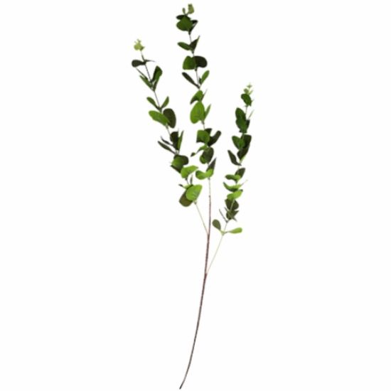 Picture of 80cm EUCALYPTUS SPRAY GREEN